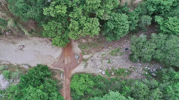 Two fined for entering reserve forest area in Sathyamangalam Tiger Reserve