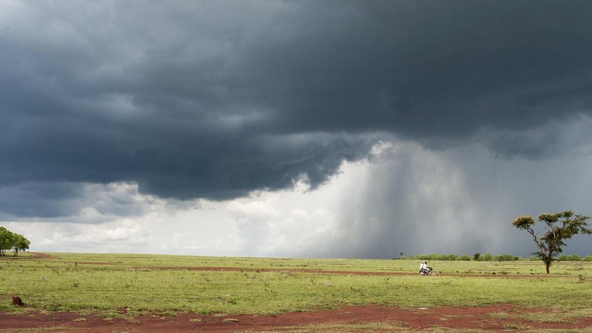 Hesaraghatta Grassland: Is the grass greener with the new tag?