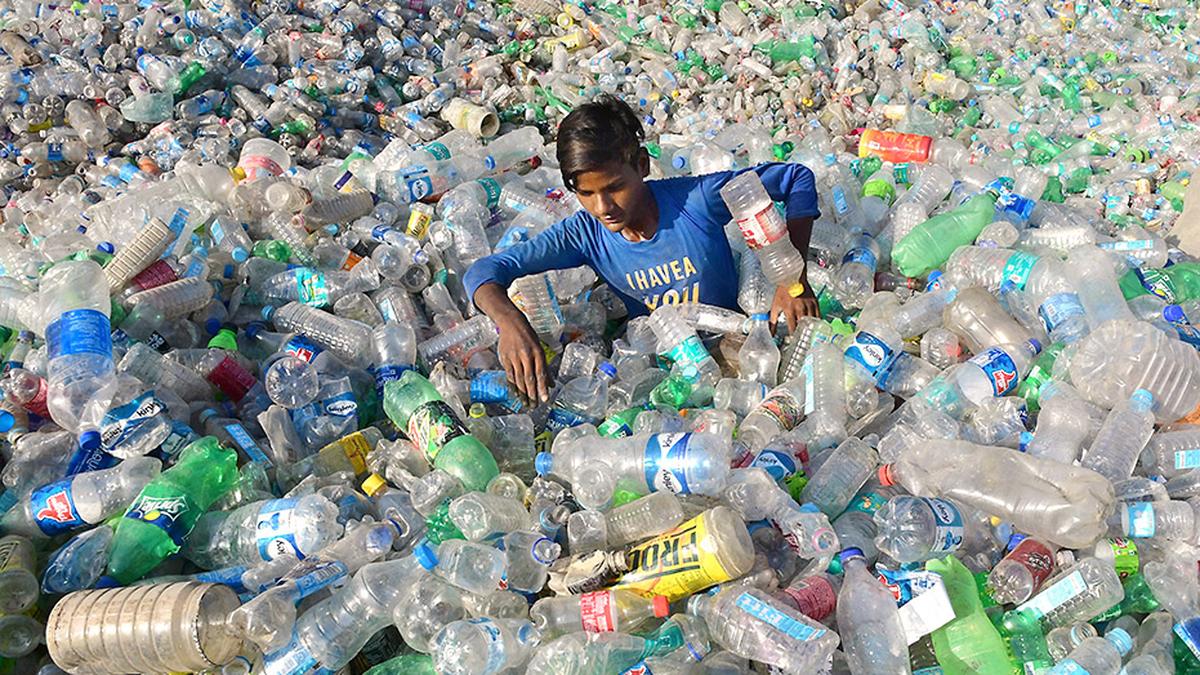 NGT imposes up to ₹50,000 fine for dumping solid waste in unauthorised areas in Uttar Pradesh