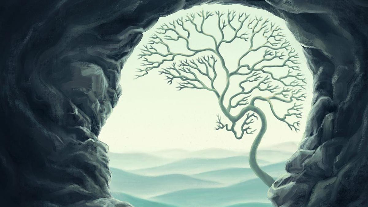 The anxious us: decoding anxiety in contemporary cultures of health