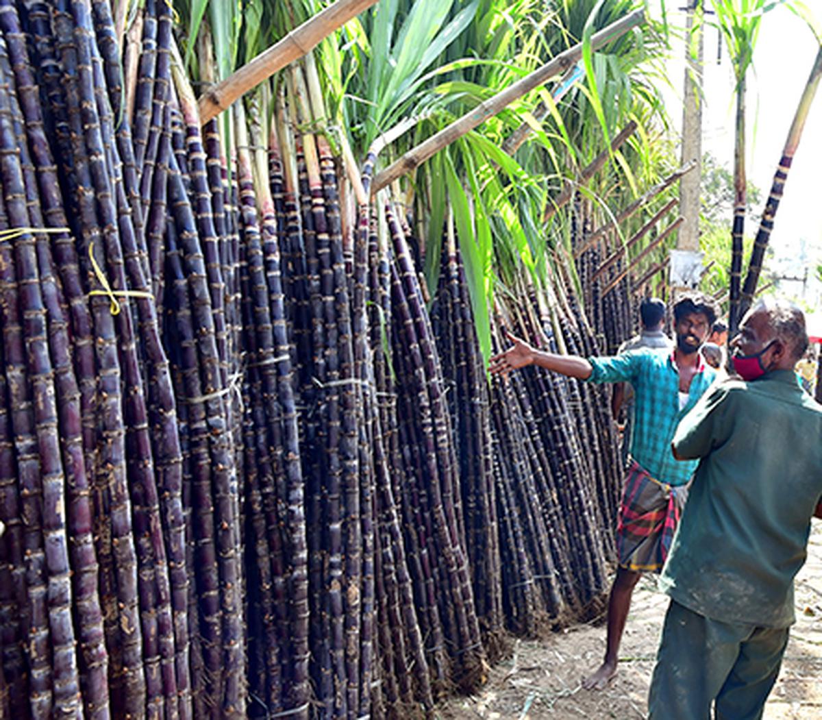 India set to allow 5 mn tonnes of sugar exports in first tranche - The Hindu