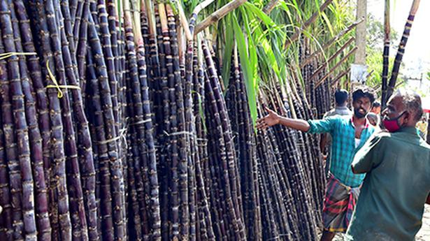 India set to allow 5 mn tonnes of sugar exports in first tranche