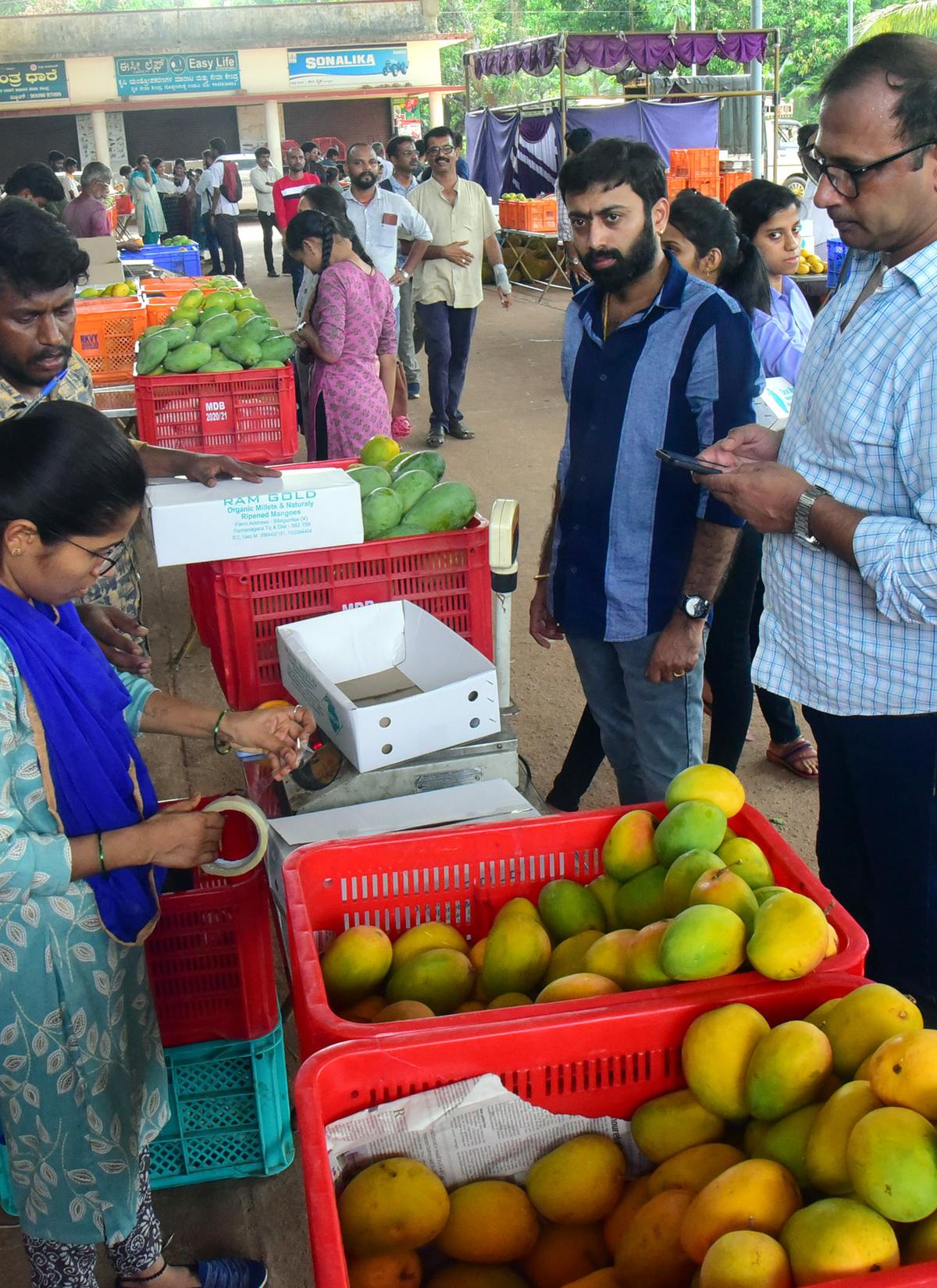 Four-day Mango Mela begins in Udupi - The Hindu
