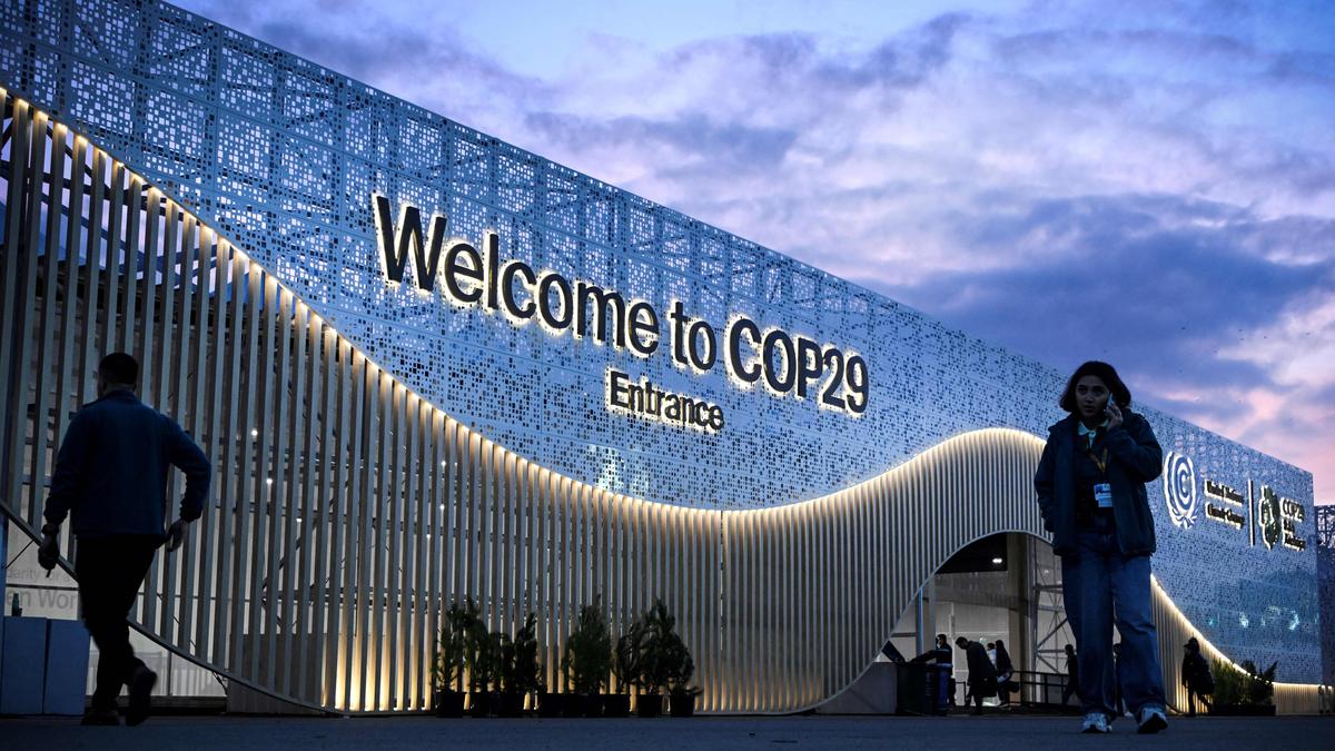 A guide to COP29 climate jargon