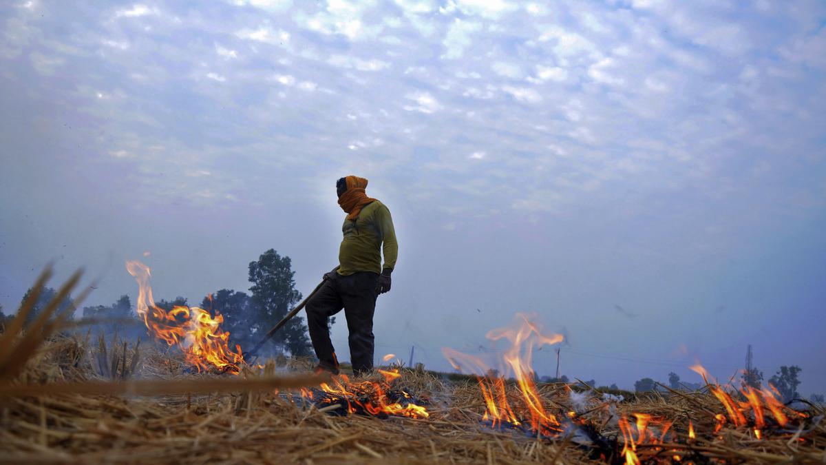 Punjab farmers want to be compensated to stop stubble burning