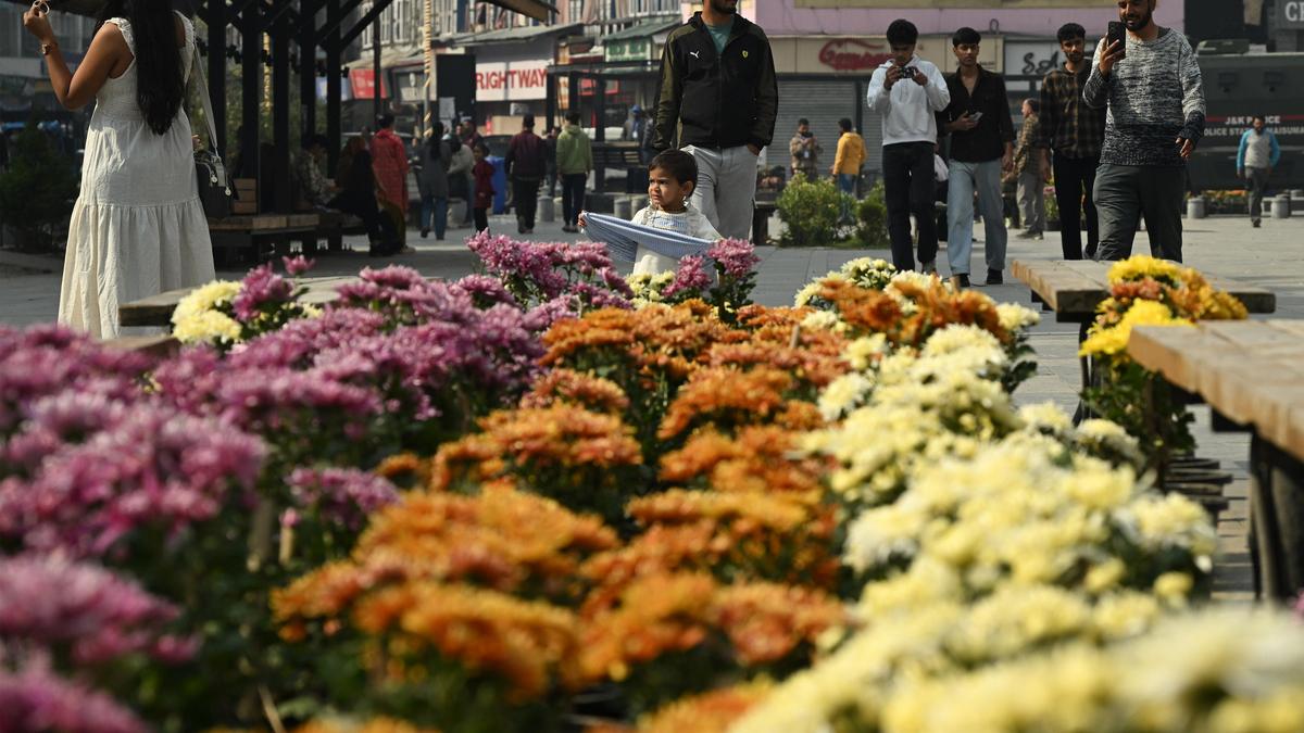 Why are Srinagar’s traditional livelihoods struggling to survive? | Explained
Premium