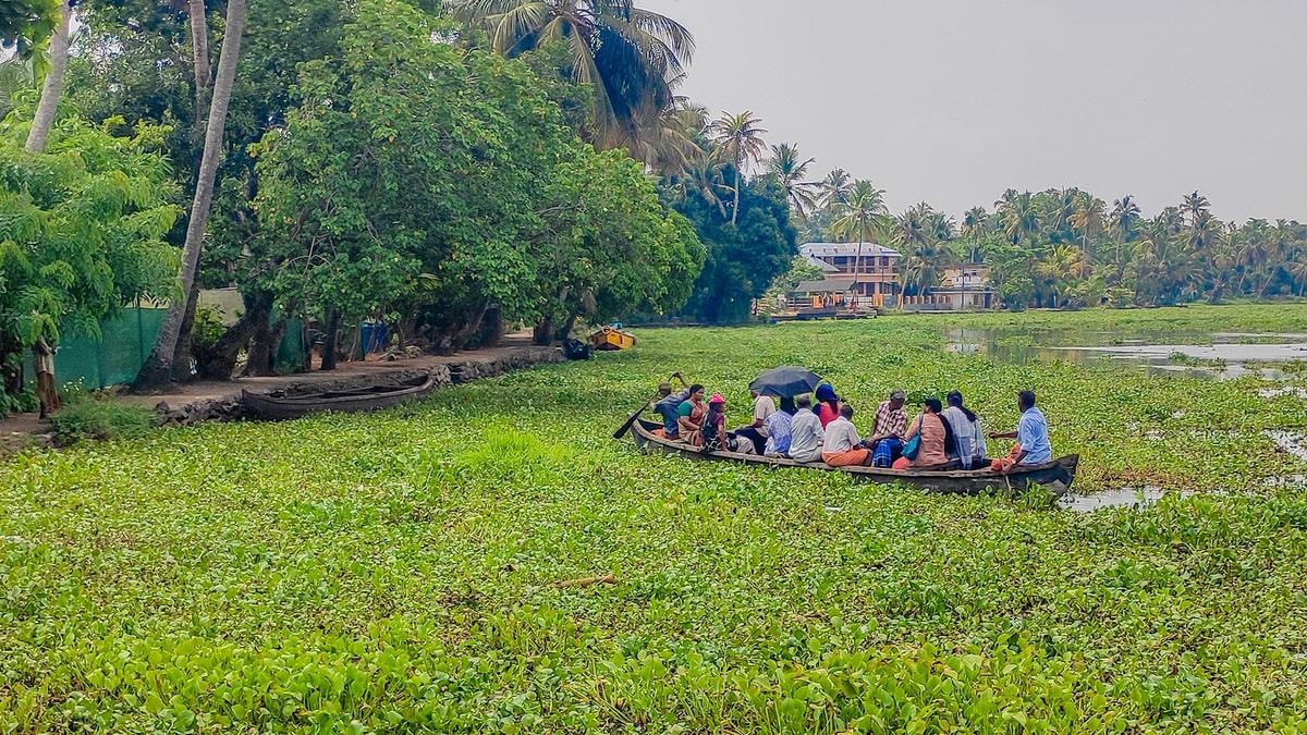 163 local body wards identified as ‘water-stress’ hotspots in Kerala’s Alappuzha district