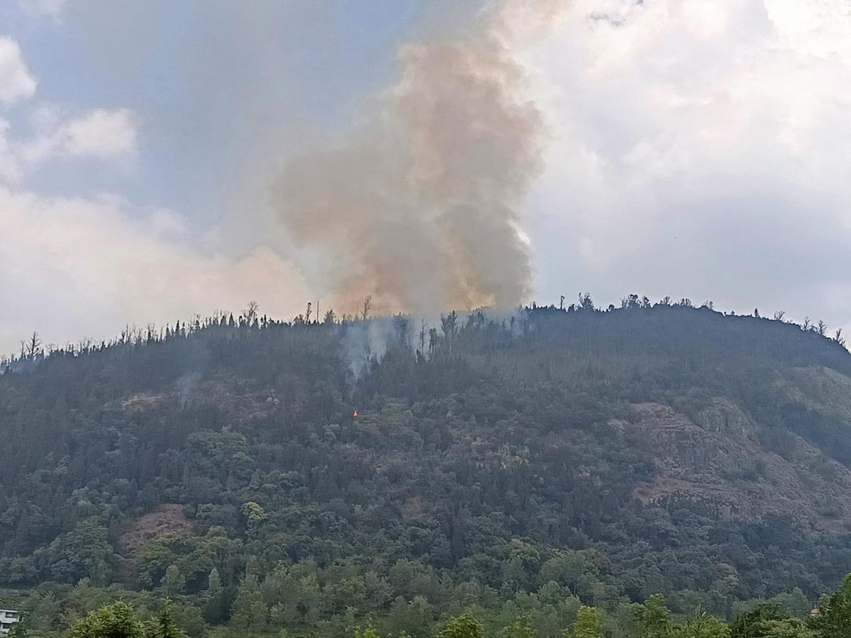 A forest fire in the Coonoor range of the Nilgiris.