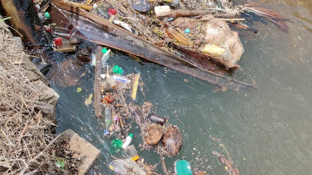 Proposal for fencing vulnerable hotspots along PAP canal under Namakku Naame scheme stuck in red tape