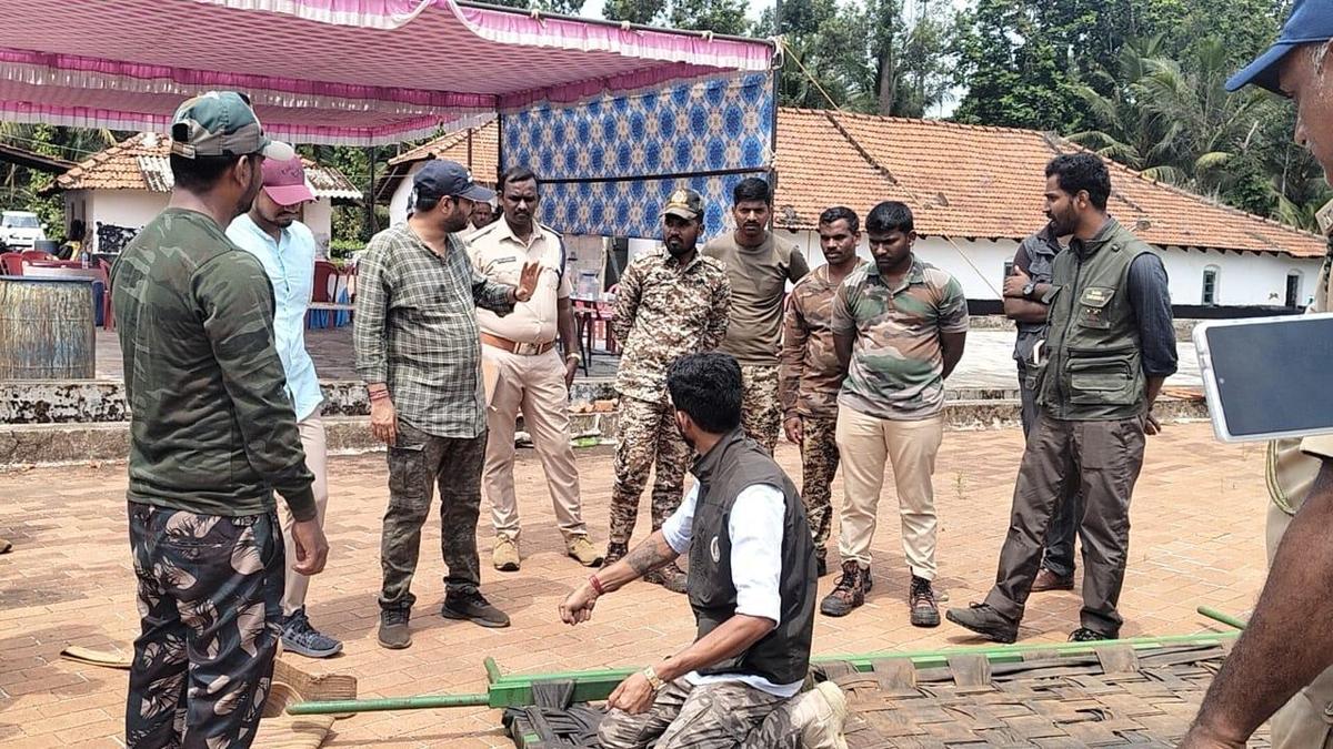Forest staff revive and release Indian gaur on day two of relocation exercise