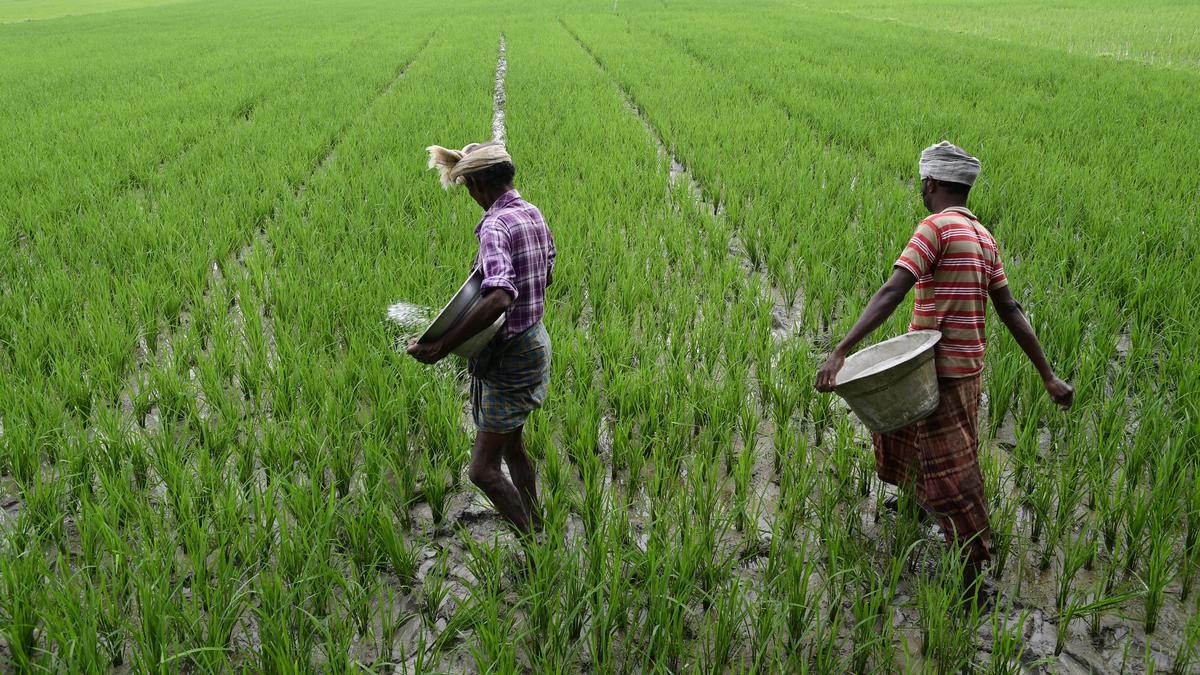 Measures against snakebites adopted by rural communities largely not evidence-based or practical: study