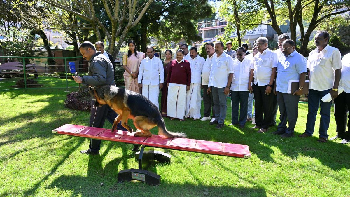 Dog park inaugurated in the Nilgiris