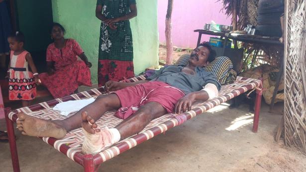 Man injured in elephant attack near Coimbatore