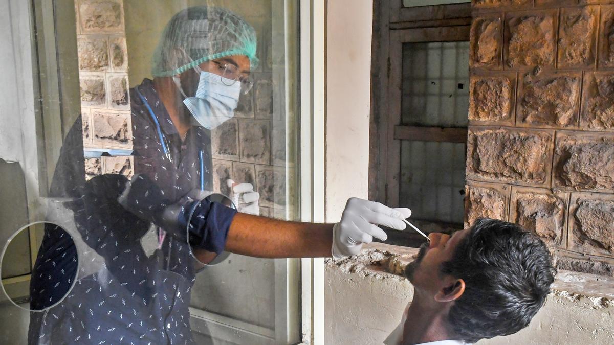 All RT-PCR labs in Andhra Pradesh to be activated, minimum 1,000 COVID-19 tests to be done daily