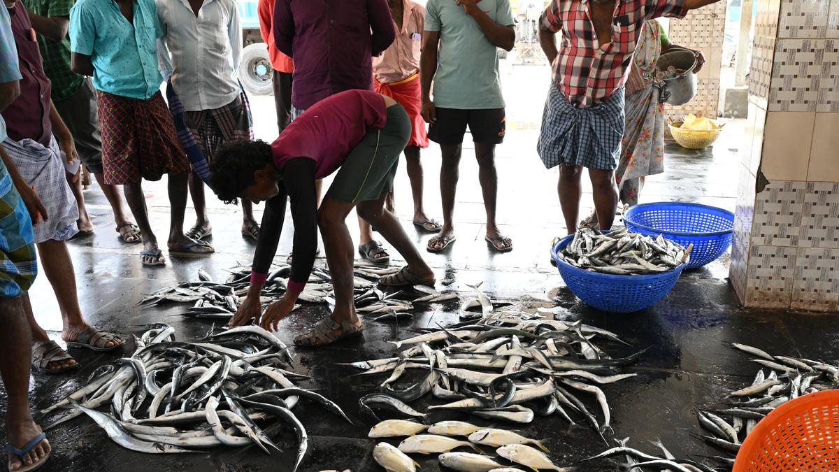 Seafood lovers shell-shocked as prices of fishes skyrocket due to poor arrival
