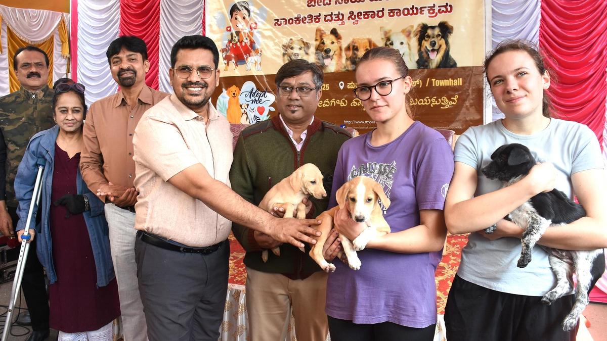 Street dog adoption drive launched; MCC calls for public participation