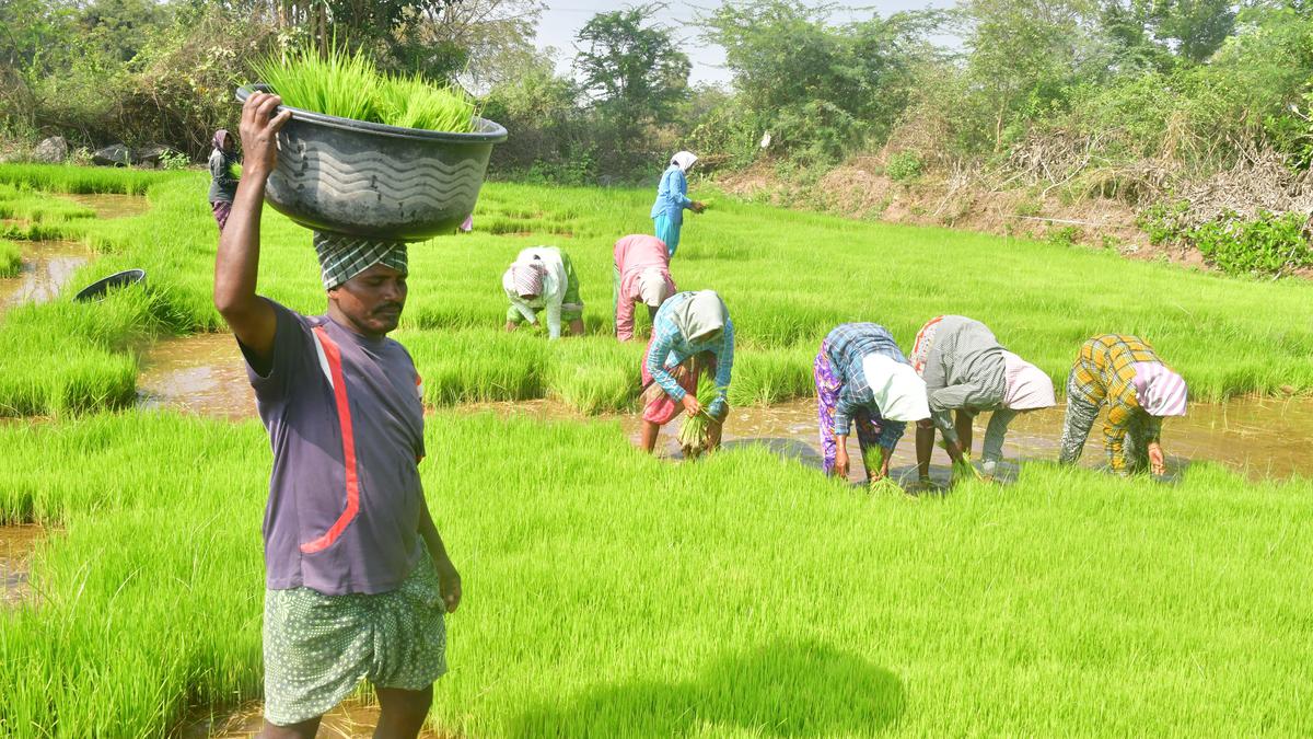 Andhra Pradesh Chief Minister to release YSR Rythu Bharosa benefits and input subsidy today