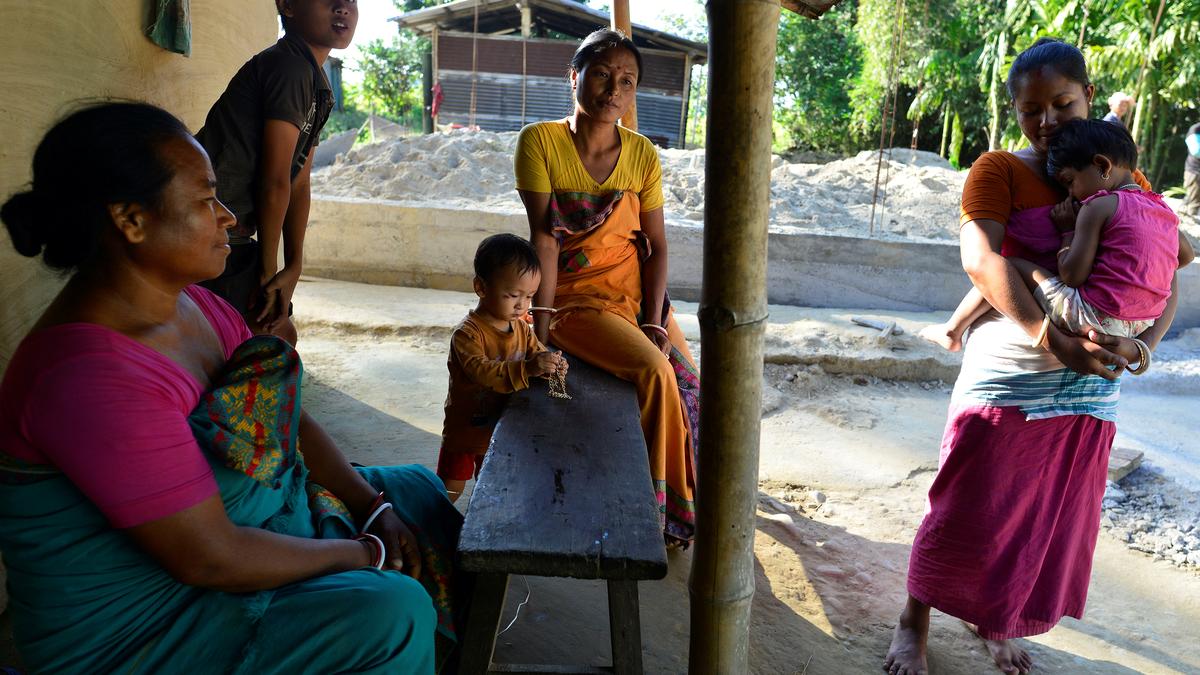 In Assam, once a forest, now a settlement