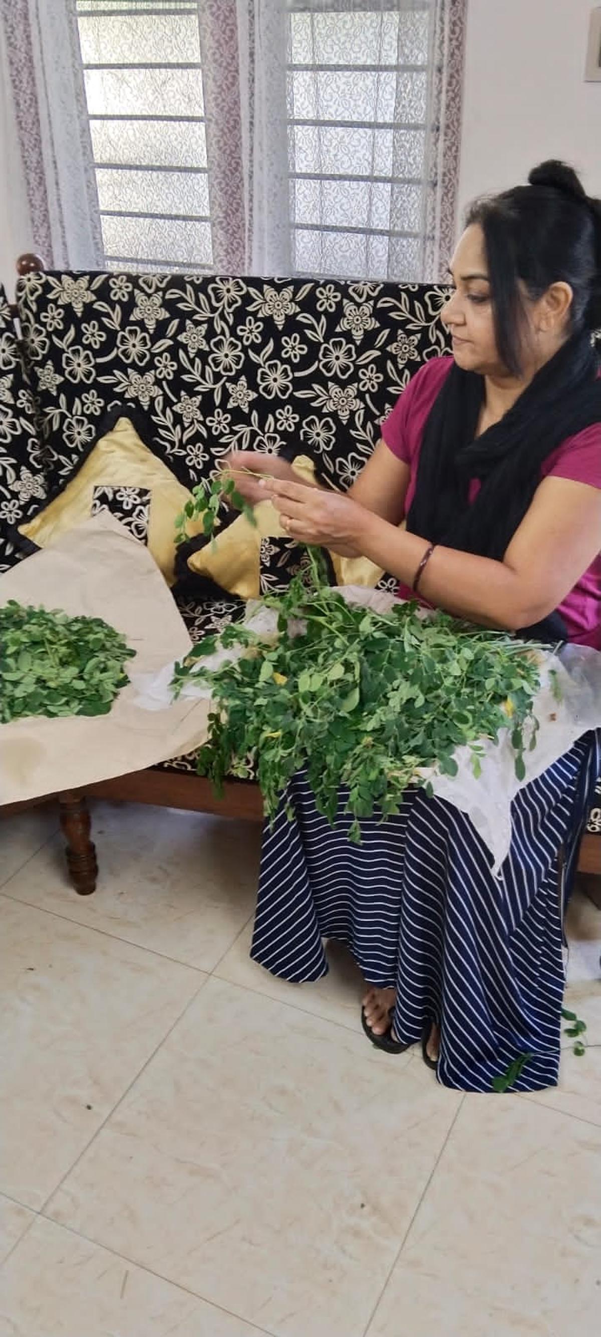 Sindhu R runs The Leaves that sells wide range of products made from drumstick Sindhu R runs The Leaves that sells wide range of products made from drumstick