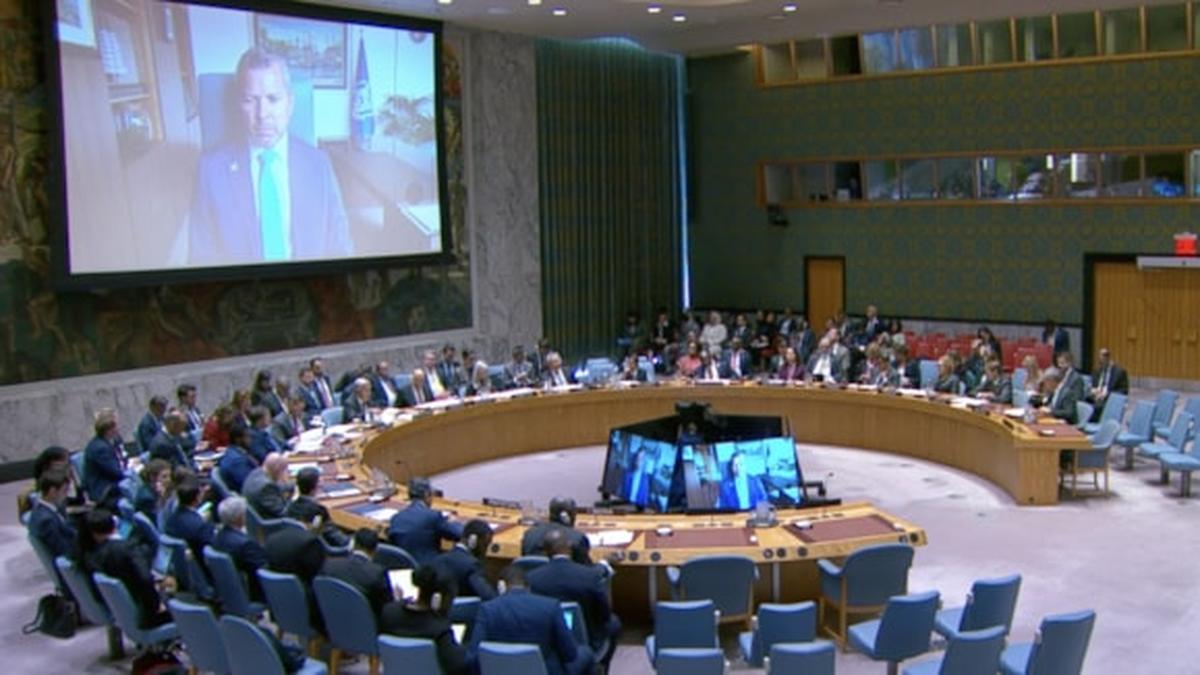 Freedom of navigation not negotiable: IMO addresses UN Security Council on maritime safety in Strait of Hormuz