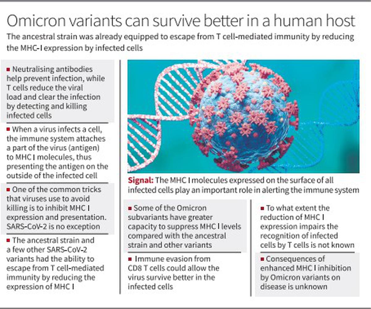 SARS-CoV-2 omicron variant may evade host immune responses