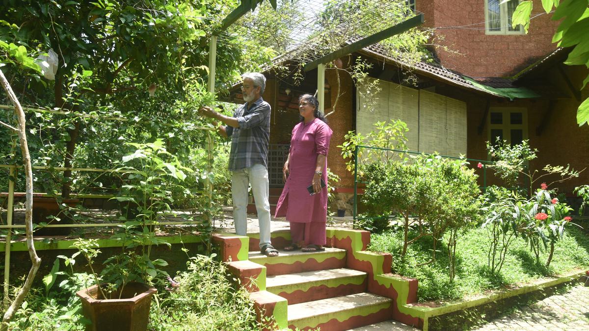 ‘Meda’ takes the carbon-neutral home dream a step closer to reality