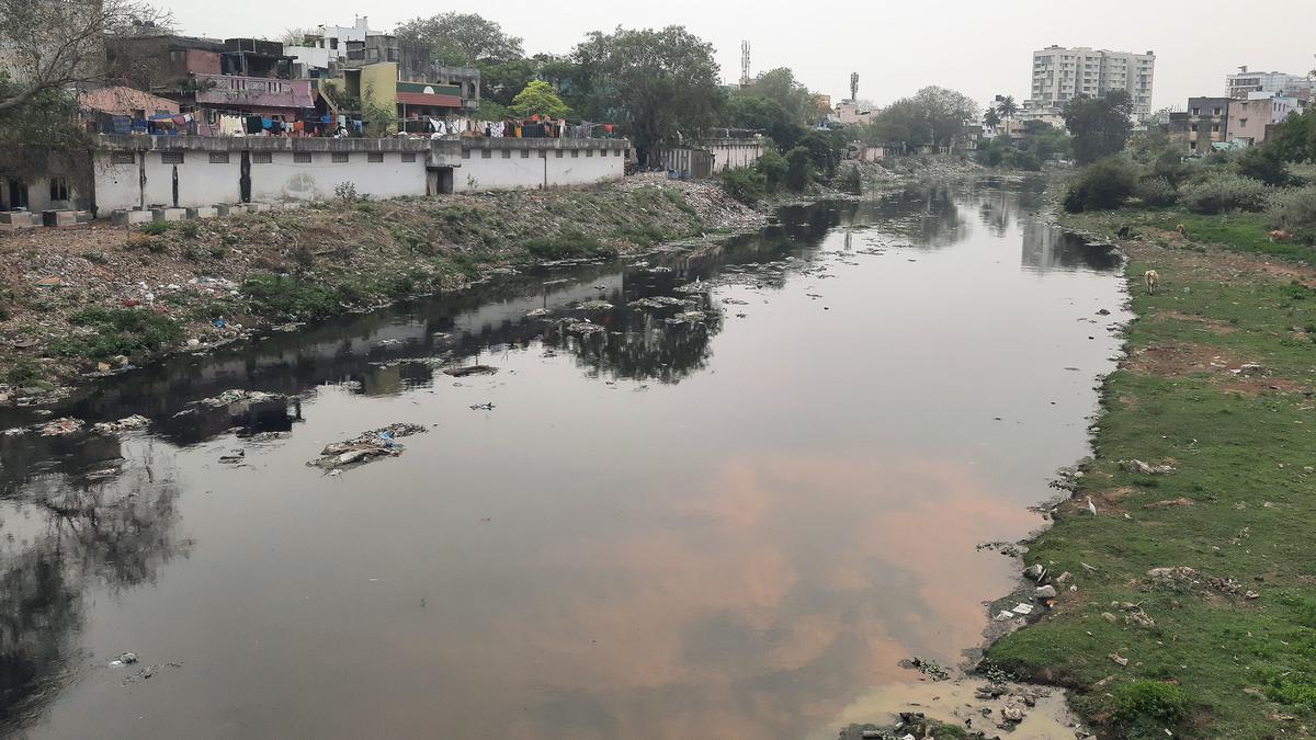 GCC will study feasibility of restore Cooum based on the San Antonio model, says Mayor