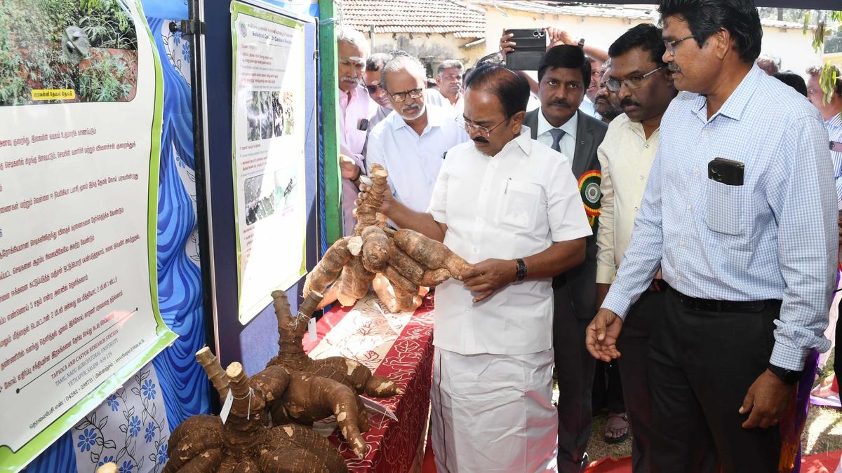 Ministers inspect medical camp in Salem