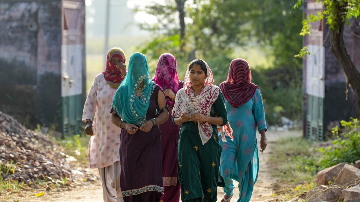 Haryana Assembly elections LIVE: 9.53% polling recorded in first two hours as voting underway in Haryana