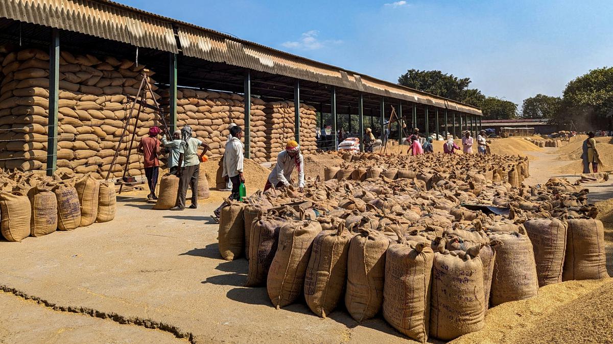 India’s smaller rice crop paves way for prolonged export curbs