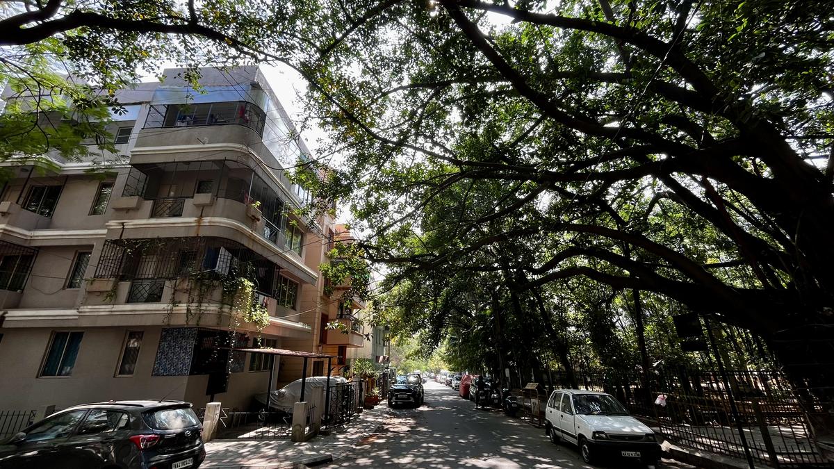 Once sought-after residential localities, prime old areas of Bengaluru are seeing rapid redevelopment, turning them into bustling commercial spaces.