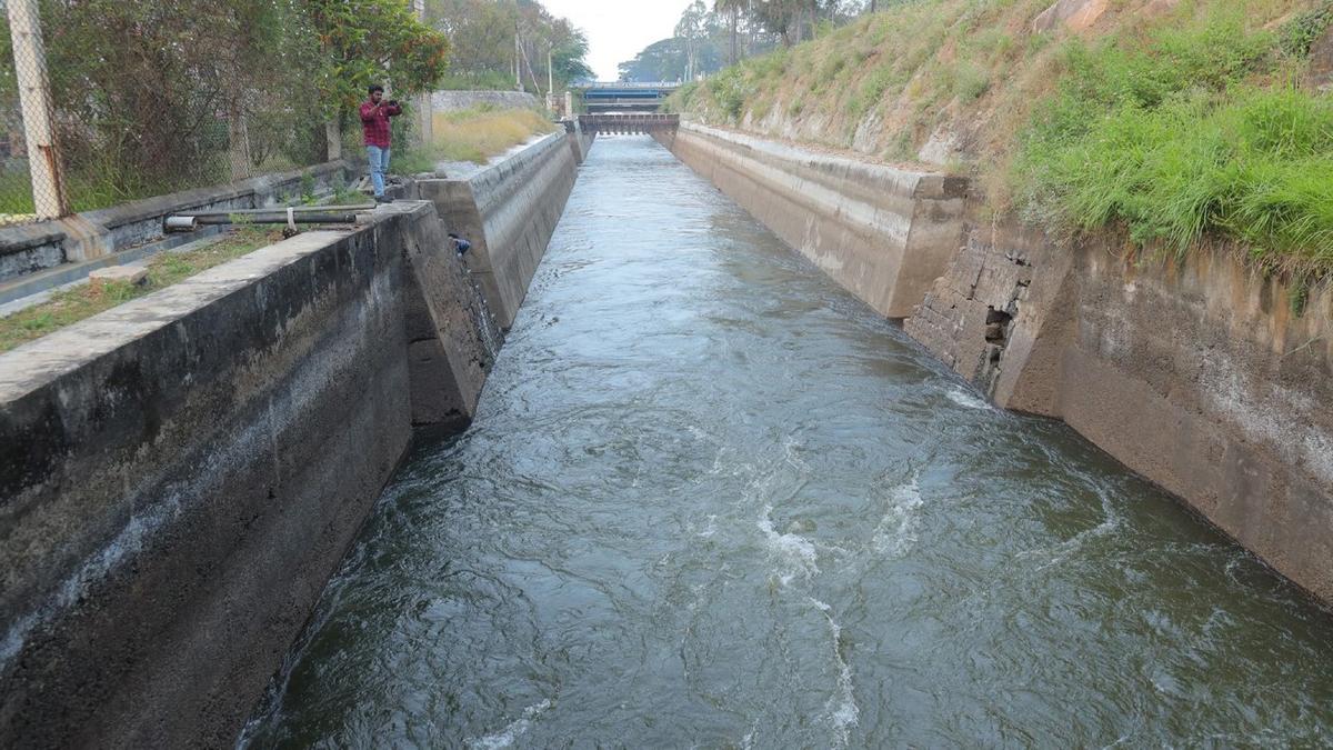 Water released for wetting of third zone in PAP canal system