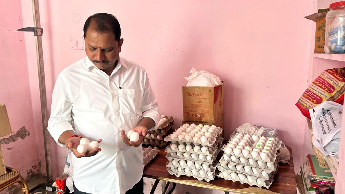 MLA expresses ire over supply of rotten eggs to anganwadi centres in Anantapur do sex