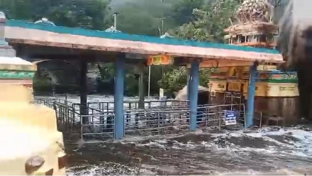 Rainfall subsides in Tiruppur a day after downpour