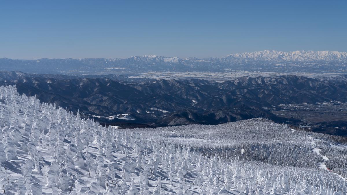 Earth’s early evolution: fresh insights from rocks formed 3.5 billion years ago
Premium