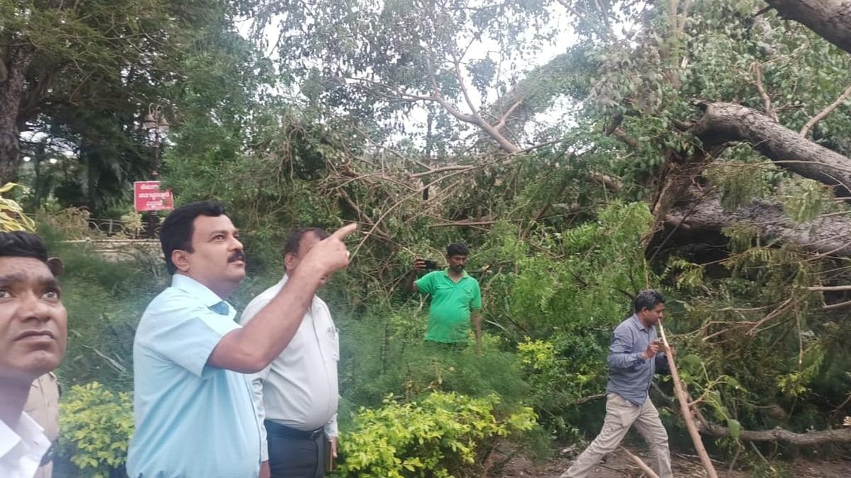 MLA, DC inspect Brindavan Gardens after rain havoc