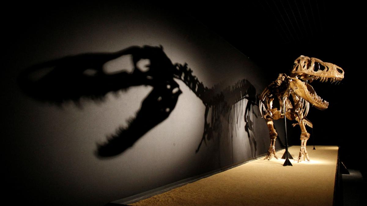 Dinosaurs were in decline even before extinction, study finds