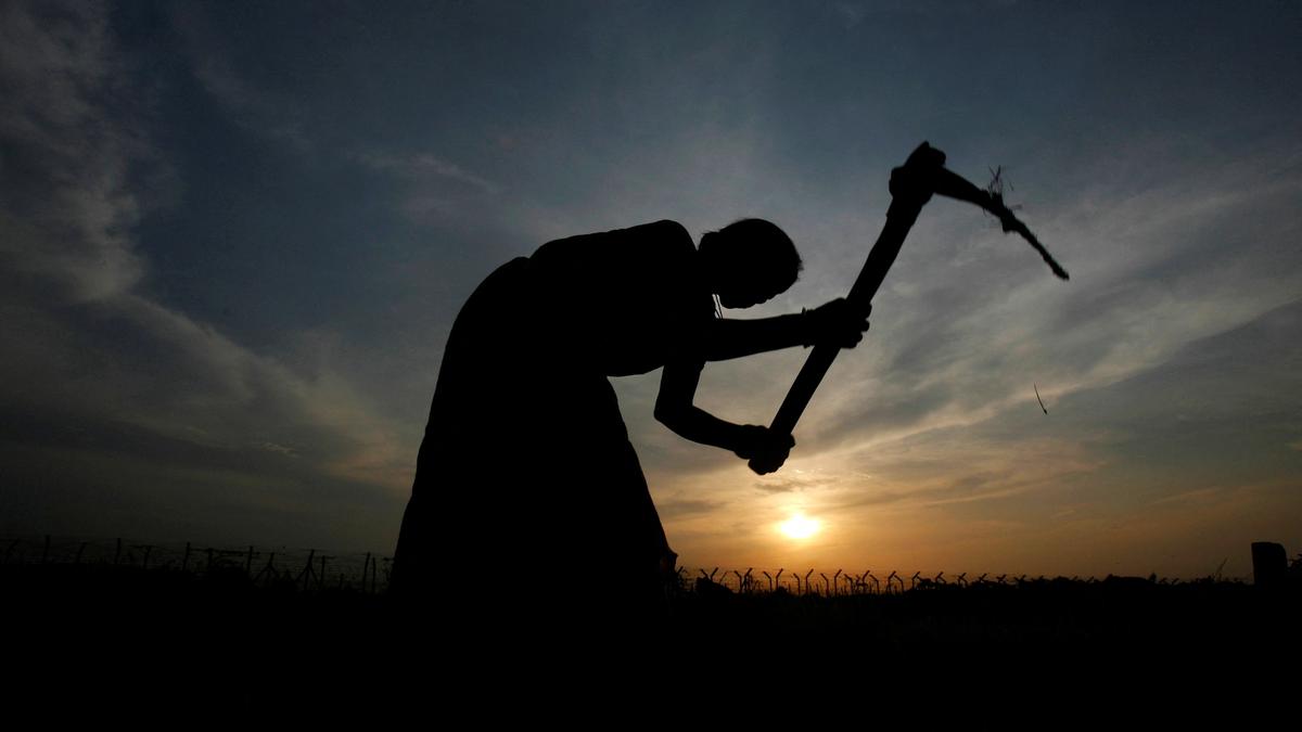 67% drop in PM-Kisan payout in 3 years: RTI reply