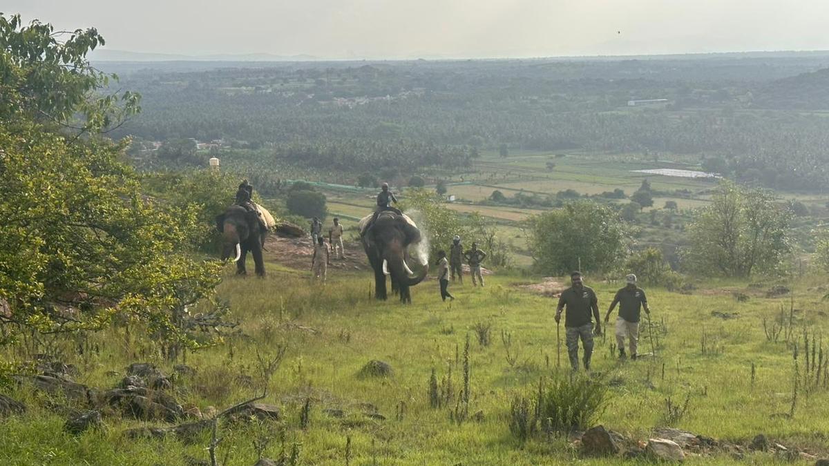 Karnataka: Search for elusive tiger on in Chamarajanagar villages