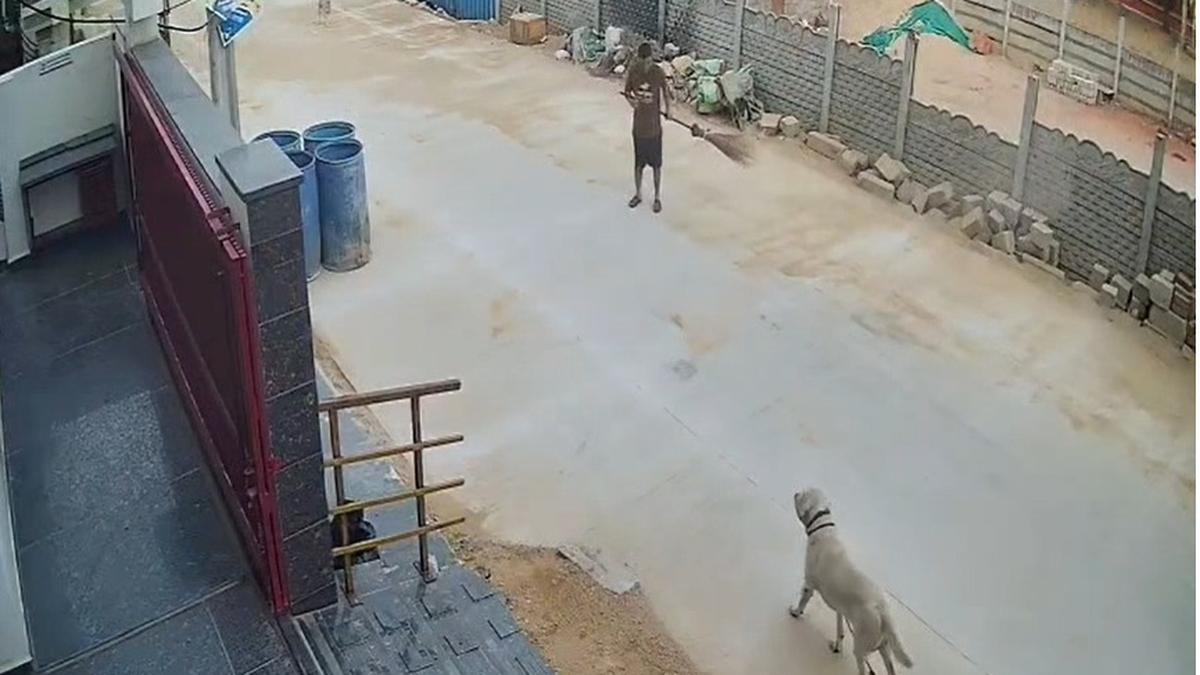 Delivery agent’s kindness, constable’s persistence help find missing dog