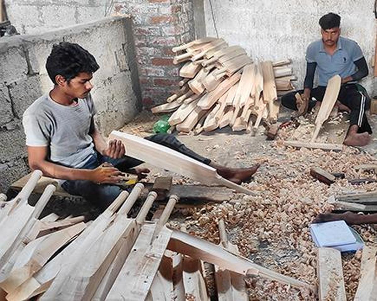 Watch: Kashmir willow cricket bat demand surges amid the T20 World Cup