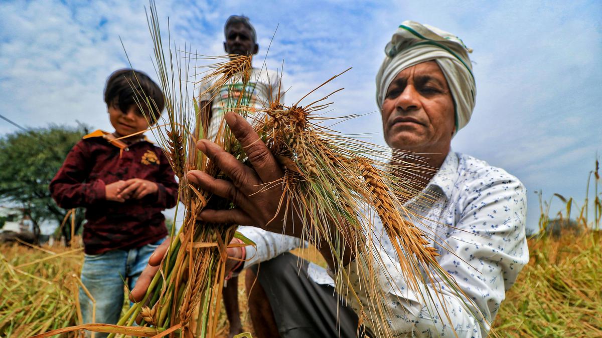 Rajasthan seeks change in rules for crop damage relief to farmers