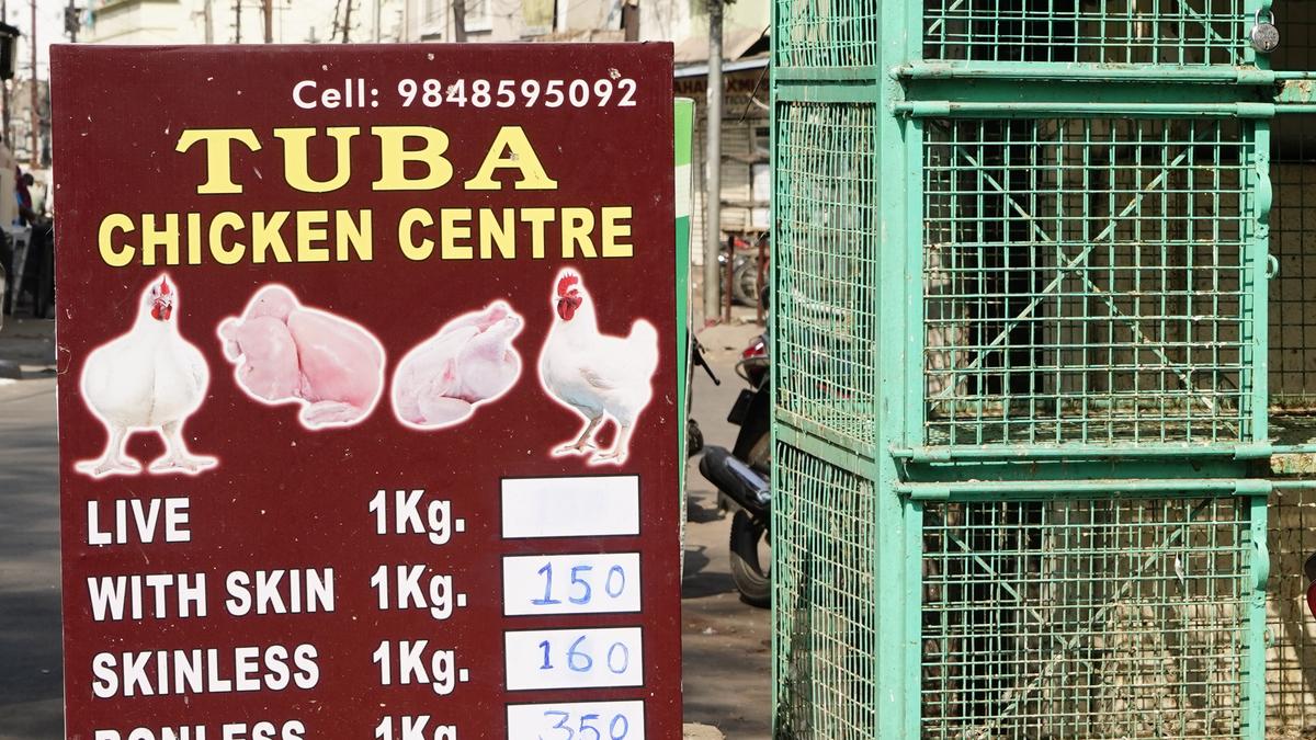 No decline in demand for chicken in Hyderabad