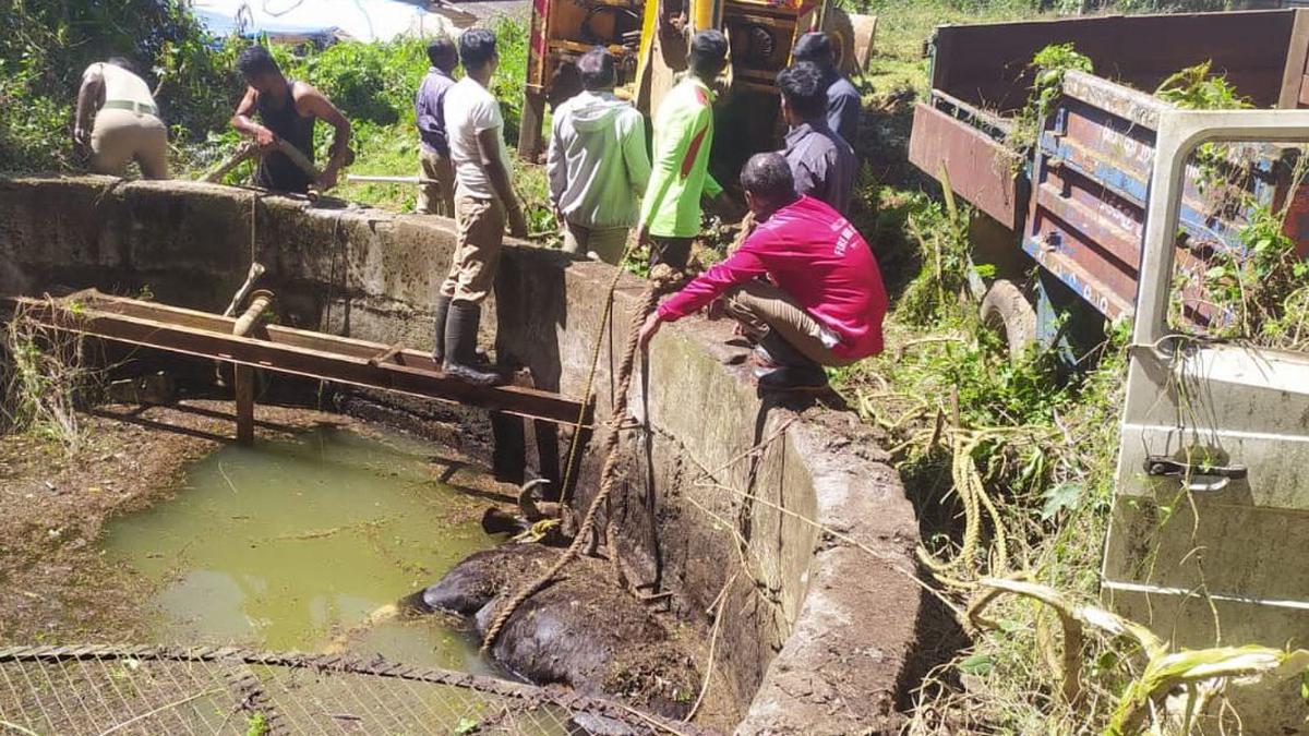 One of every four wells in Kotagiri poses risk to wildlife, says NGO