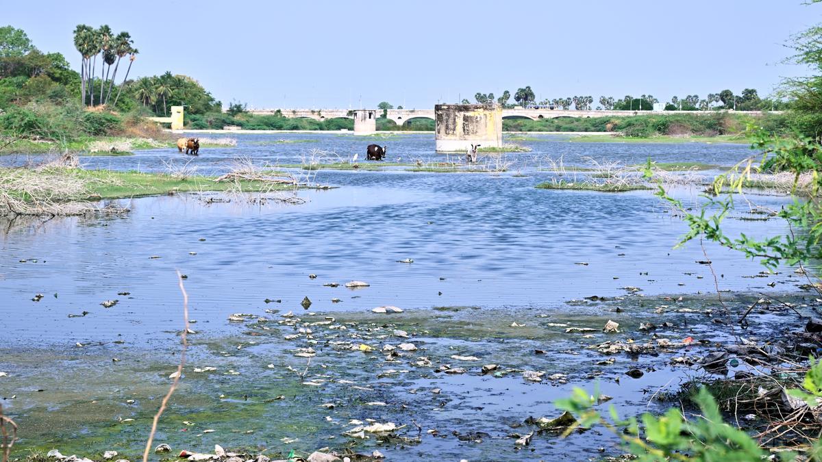Tamil Nadu Assembly election 2026: Herculean task ahead to curb river pollution in Sattur constituency