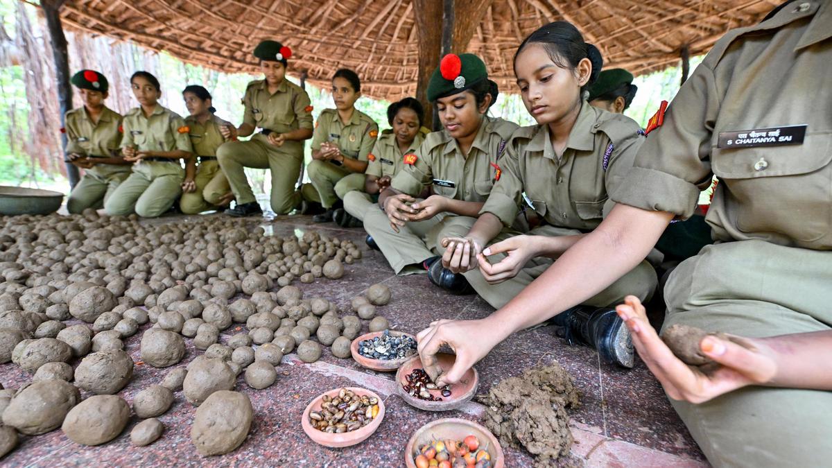 Forest officials, volunteers to disperse 50 lakh seed balls in north Andhra Pradesh