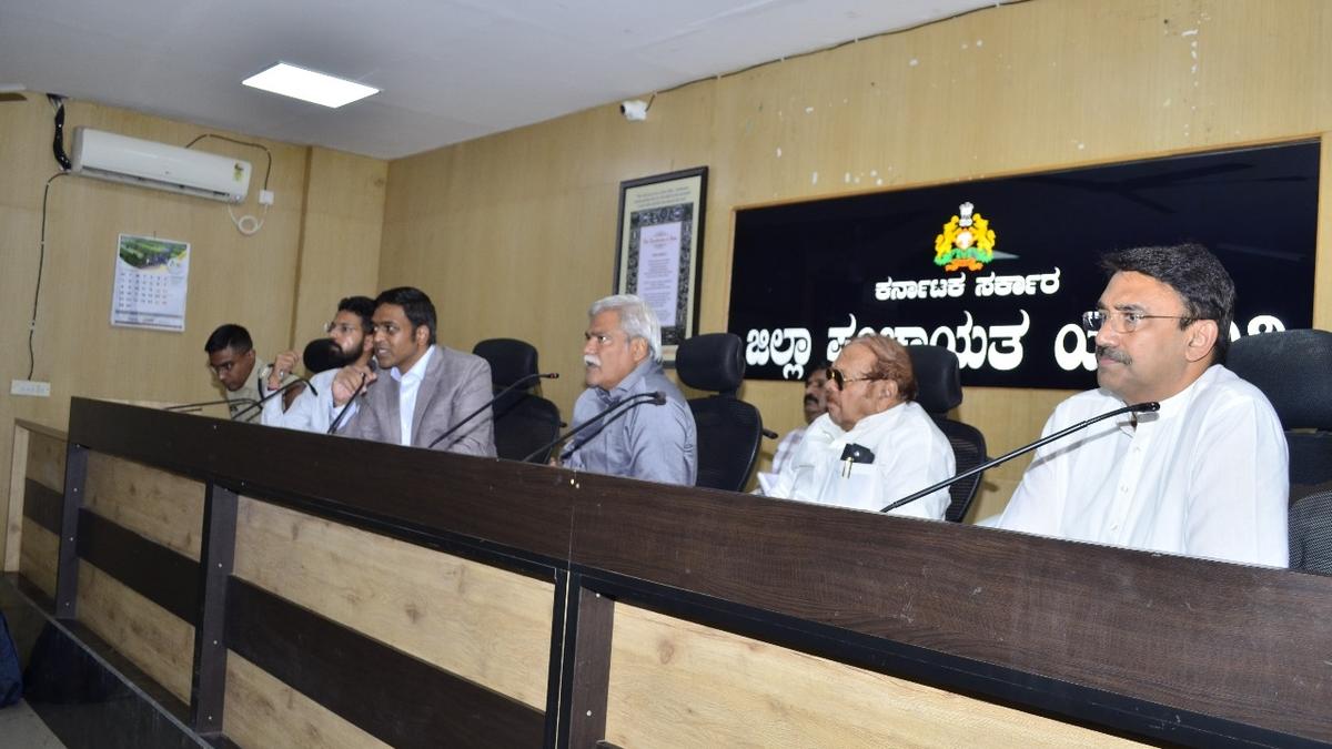 Officers told to conduct proper survey on crop loss owing to copious rainfall in Yadgir district - The Hindu