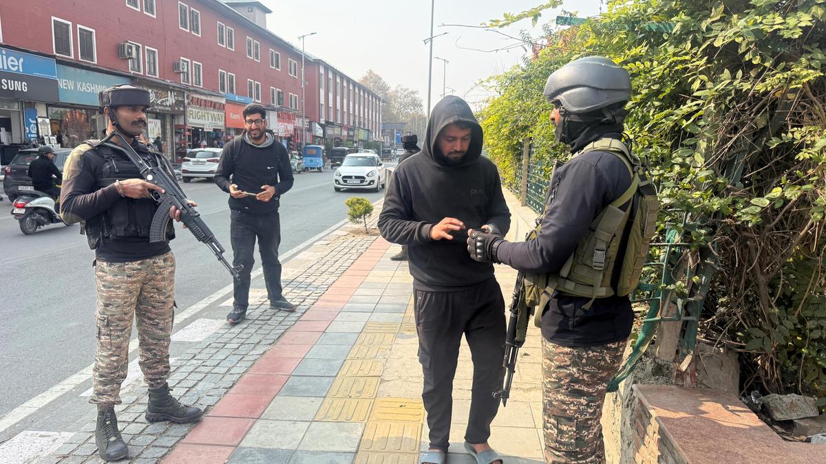 Over 600 detained in 500 search operations across Kashmir: police