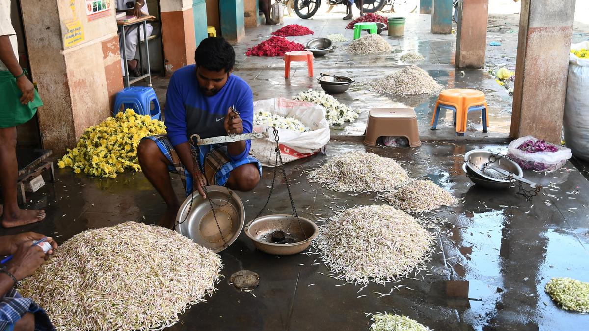 Tamil Nadu election 2026: Farmers in Nilakottai constituency want government perfume factory