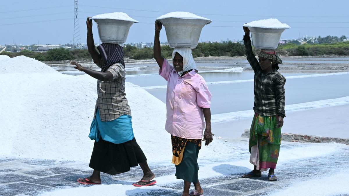 Tamil Nadu election 2026: Salt pan workers indignant about lack of better amenities in Thoothukudi constituency